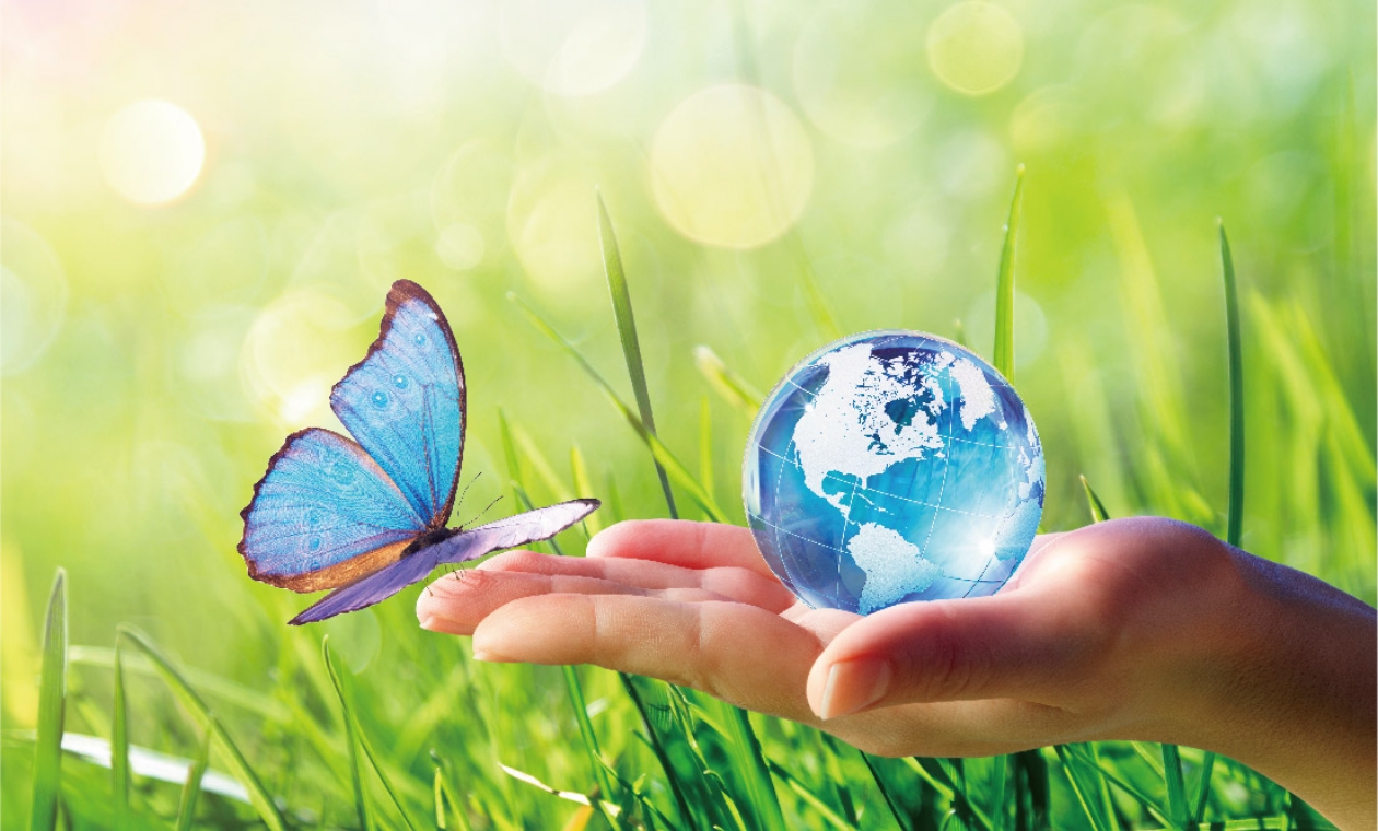 サステナビリティ